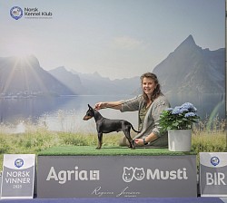 Peñjo, BOB and Norwegian Winner 2025 with CACIB