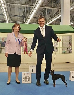 Junior World Winner 2025, Best of Juniors, JCACIB, CAC