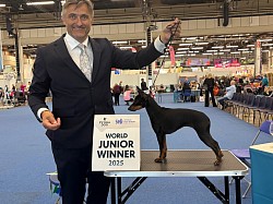 Junior World Winner, Helsinki 2025, World Dog Show