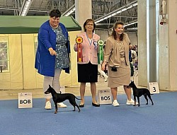 Peñjo, World Winner 2025 (Best male and BOS)
