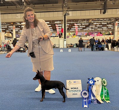 Peñjo, World Winner 2025