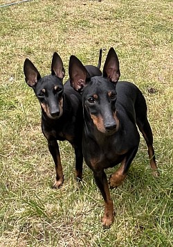 Tussi and Storm