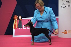 Pheonix, European Winner (BOB) 2015