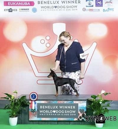 Maybe and Amanda BeNeLux Winner 2018