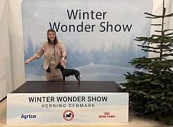 Peñjo, Danish Winner 2025 and BOB