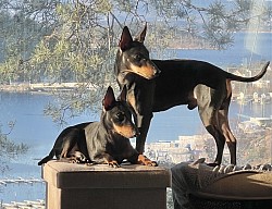 When it is could outside, Peñjo and Hector is in the sun inside