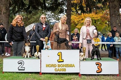 X-Pected Dine Mites Skyfall, BIS jr