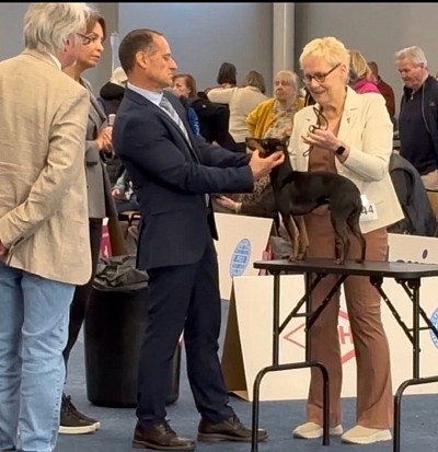 Here Jack on the table