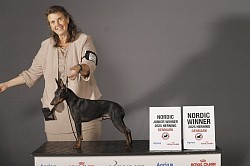 Bond, Danish Junior Champion, Nordic Winner 2025, Danish Junior Winner 2025, Nordic Junior Winner 2025