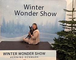 Peñjo, BOB with the title Danish Winner 2025, Winter Wonder Show, Denmark