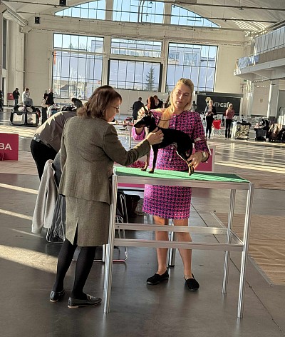 X-Pected Dine Mites Skyfall