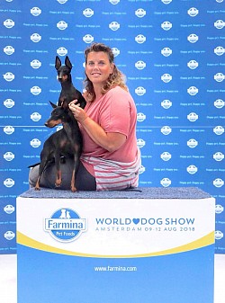 WDS 2018, Maybe and Jay-Z