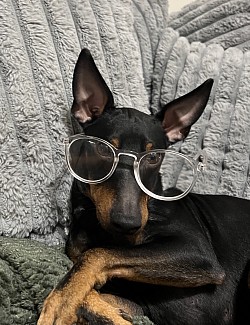 Hector looking smart, March 2026