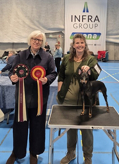 Peñjo BOB and New Champion